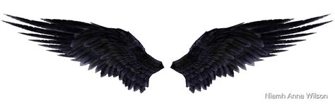 "Black Wings/Fallen Angel" by Niamh Anna Wilson | Redbubble