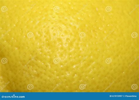 Close up of lemon rind. stock image. Image of isolated - 61915997