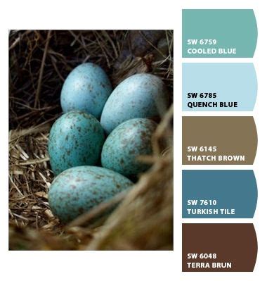 Robin Egg Blue Paint Color Sherwin Williams - Paint Color Ideas