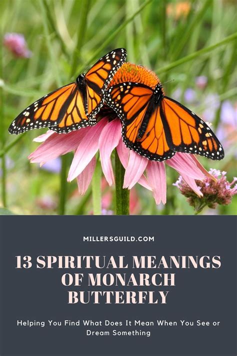 13 Spiritual Meanings of Monarch Butterfly