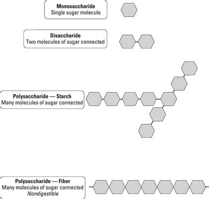 The Chemical Structure of Carbohydrates - dummies