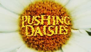 Pushing Daisies - Wikipedia