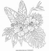Tropical Coloring Leaves Leaf Pages Colouring Drawing Line Audrey  sketch template