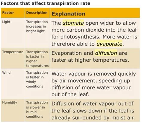 😎 Factors of transpiration. Plant and Soil Sciences eLibrary. 2019-01-12