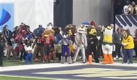 Pac-12 mascots cheer on every play together in endzone at final game - Saturday Out West