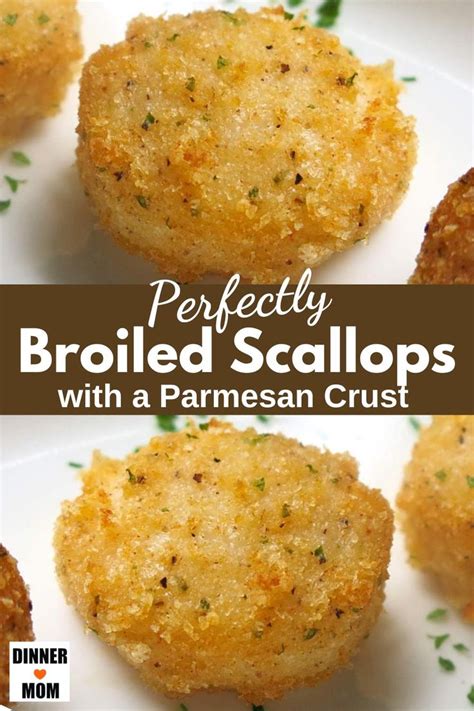 Broiled Scallops with Parmesan Crust | Shrimp and scallop recipes ...