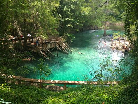 Florida Springs Camping: Ultimate Guide for Best Springs