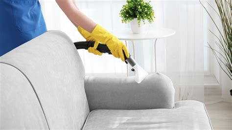 The Importance of Upholstery Cleaning Services - All Star Cleaning Services