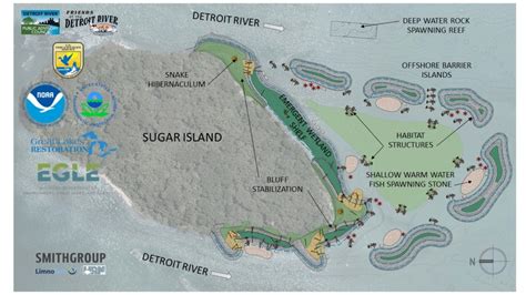 Great Lakes Moment: Sugar Island is getting an ecological makeover | Great Lakes Now