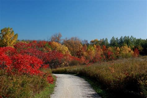 15 Best Things to Do in Kitchener (Ontario, Canada) - The Crazy Tourist