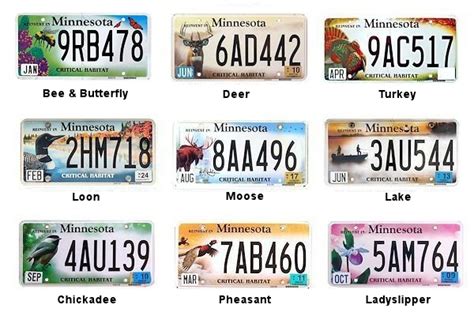 License Plates of Minnesota