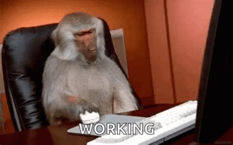 Monkey Computer Not Working GIF | GIFDB.com
