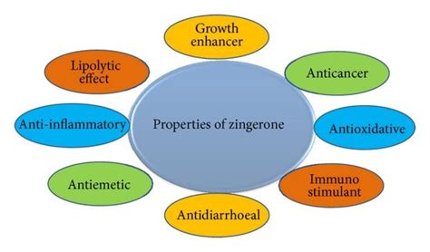 Chemical structure of zingerone. IUPAC name:... | Download Scientific Diagram