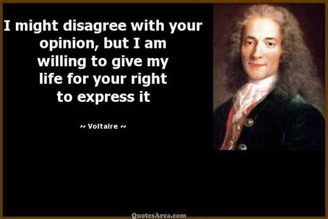 I might disagree with your opinion | Voltaire quotes, Stoicism quotes ...