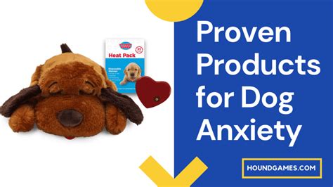 7 Proven Products for Dogs with Anxiety - HoundGames