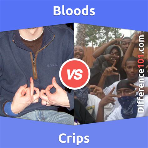 Crips And Bloods Signs