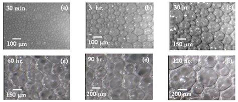 Microscopic images of liquid foam at different time scale: the... | Download Scientific Diagram