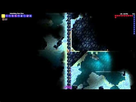 Terraria Hoik Visual Glitch - YouTube