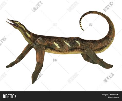 Atopodentatus Reptile Image & Photo (Free Trial) | Bigstock