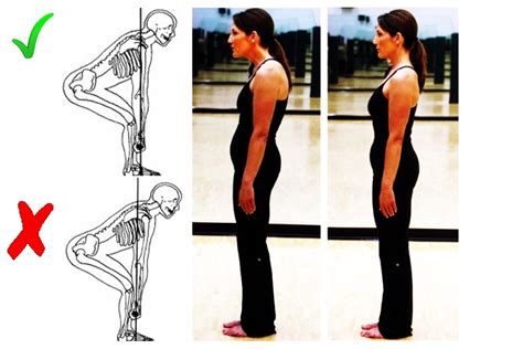 Body Mechanics in Health, Fitness and Performance : Physical Excellence ...