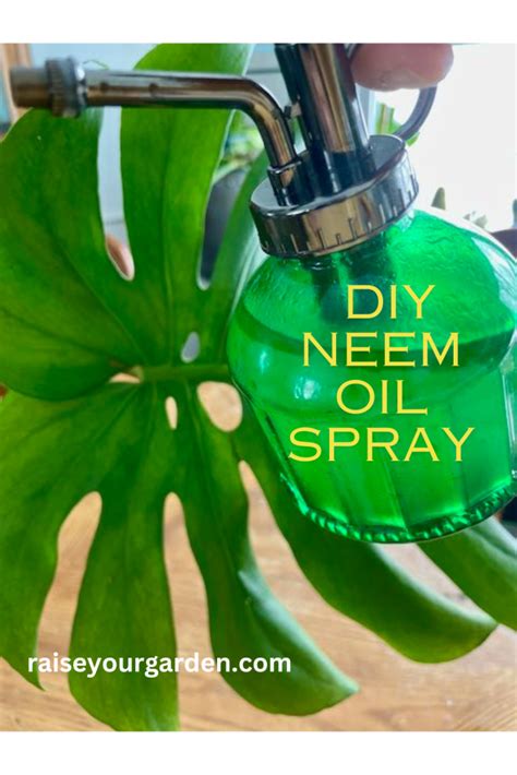 Homemade neem oil spray for organic pest control - Raise Your Garden