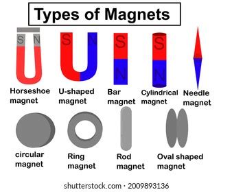 Types Magnets Magnets Compassmagnetic Powerflat Designinfographic Stock Vector (Royalty Free ...