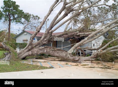 Hurricane Frances Saint Lucie County Florida damage destruction storm ...