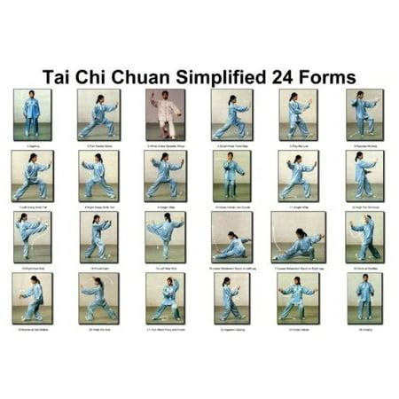 Tai Chi Chuan 24 Forms Poster 24x36 - Walmart.com