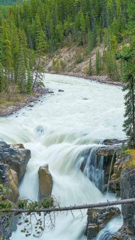 Sunwapta Falls - backiee