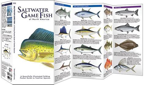 Saltwater Game Fish of North America (Pocket Fish Identification Guide®)