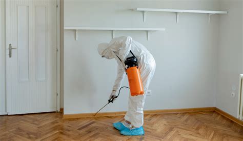 Top Mold Prevention Tips for Your Home — RISMedia