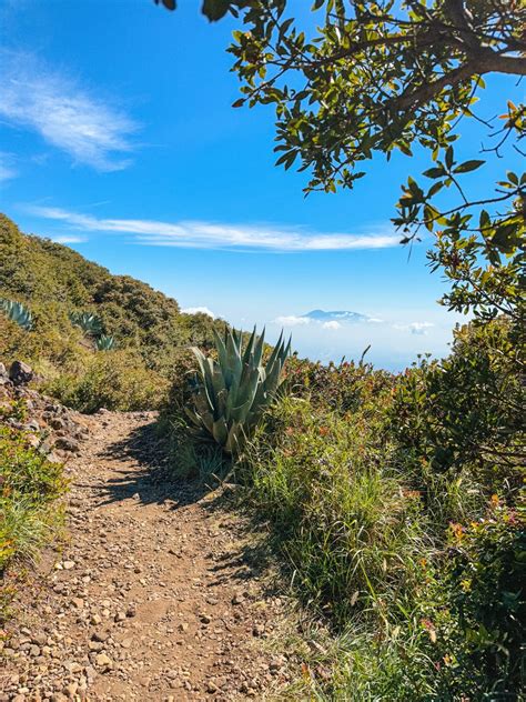 Hiking Santa Ana Volcano in El Salvador