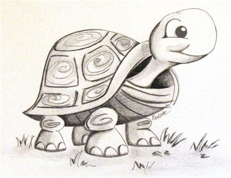 Black and white graphite and charcoal drawing of a turtle | Cute turtle drawings, Turtle drawing ...