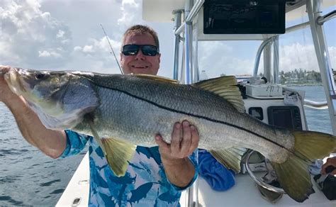 Snook Fishing Tips With The Captain Who's Landed Over 300,000 Snook!