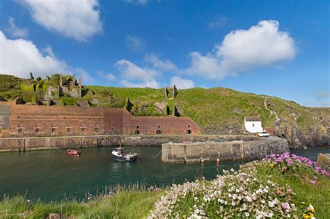 Early Morning at Porthgain Harbour with beautiful spring flowers ...