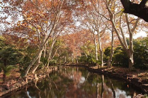 Shanghai Zoo Autumn - Free photo on Pixabay - Pixabay