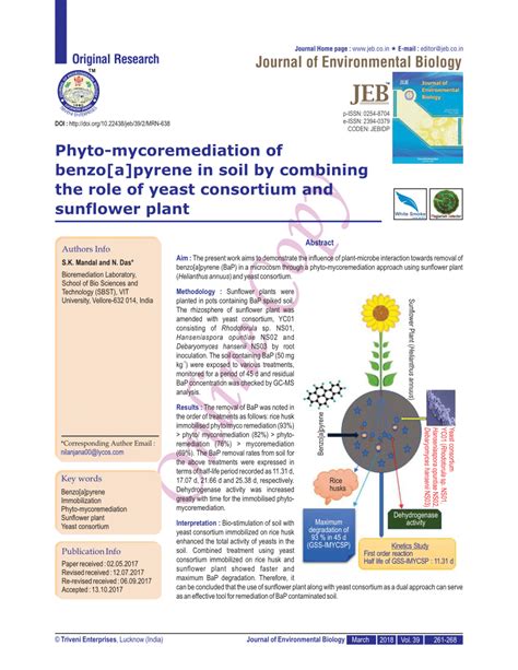 (PDF) Phyto-mycoremediation of benzo[a]pyrene in soil by combining the ...