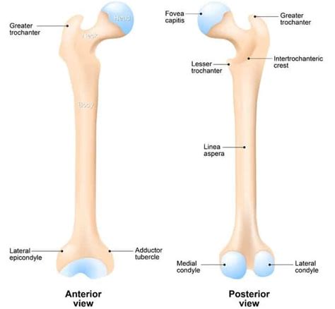 How to Eliminate Pain from Trochanteric Bursitis | Precision Movement