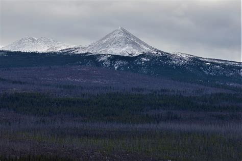 Snowy Mountain Peak in the Yukon Photograph by James Cousineau - Fine ...