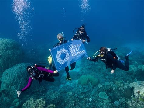 World’s Largest Dive Community Joins Forces to Protect the Great Barrier Reef | California Diver ...