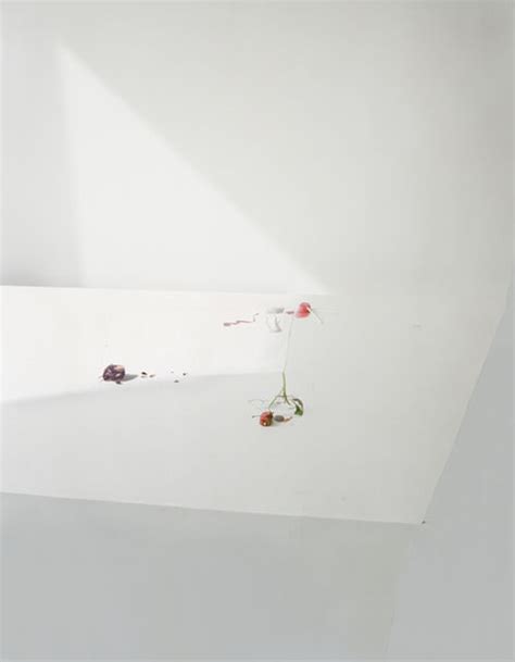 Laura Letinsky | Untitled #21, from the series "Ill Form & Void Full" | Available for Sale | Artsy