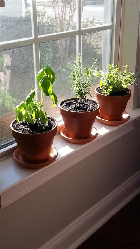 windowsill-herb-garden-6 Diy Planters Indoor, Indoor Plant Shelves ...