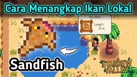 Mancing Sandfish Di Stardew Valley - YouTube