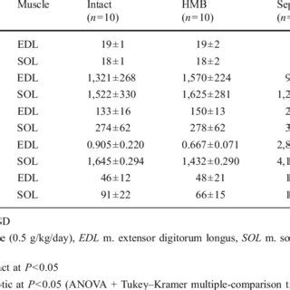 Parameters of protein and leucine metabolism in skeletal muscle | Download Table