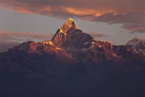 Machapuchare Sunrise Photograph by Yamiya Photography