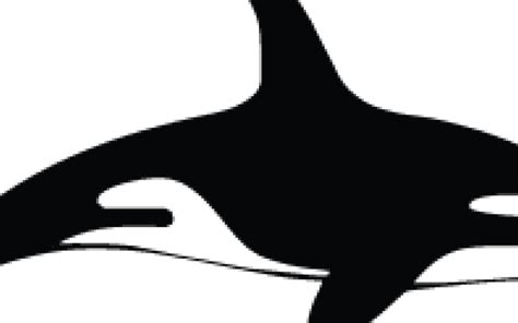 Orca Silhouette Clip Art - Orca Silhouette Clip Art - Full Size PNG ...