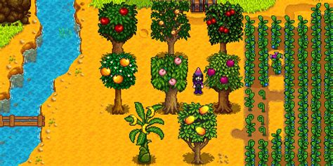 When Do Fruit Trees Bear Fruit In Stardew Valley?