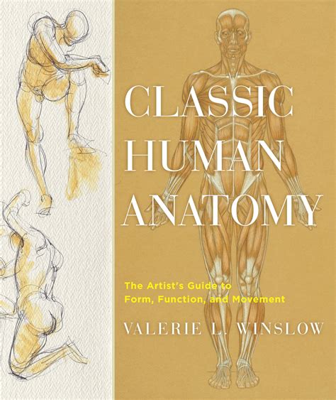 Classic Human Anatomy by Valerie L. Winslow - Penguin Books New Zealand