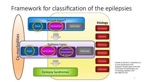 Seizure Semiology: Introduction