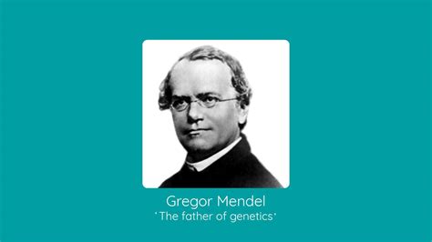 The First and Second Laws of Gregor Mendel | Studyclix